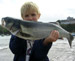 Prix spécial junior du concours photo PecheWeb.com
Poisson : Bar
Pays : France (Bretagne)