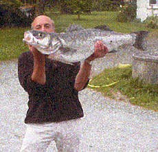 MARCILLE Marcel
10.000 Kg