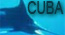 aquafuntravel.com
Aquafun Travel Group