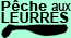 Presentation de tous les leurres et marques