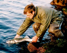 Ollivier Berry, Guide de pêche en mer à Saint-Malo, relâche un gros bar de 5Kg