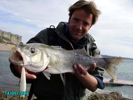 Ollivier Berry, Guide de pêche en mer à Saint-Malo, avec un joli bar