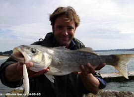 Ollivier Berry, Guide de pêche en mer à Saint-Malo, avec un joli bar