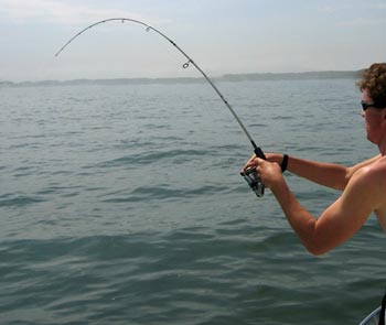 Vente de cannes à pêche pour le surfcasting Exotic anglers  EXOTIC ANGLERS