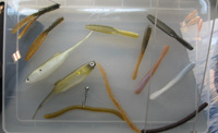 Illex lance une gamme de leurres souples : Cross Tail Shad, Darts
On peut voir aussi un Flick Shake, ici mont� en Wacky sur t�te plomb�e. Va-t-il sortir chez Illex ?