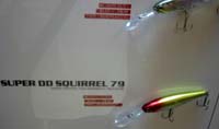 Illex : Super DD Squirel